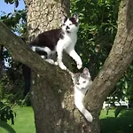 Schmidt Family - Milking House Feriehus