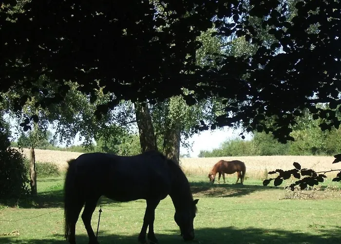 Schmidt Family - Milking House