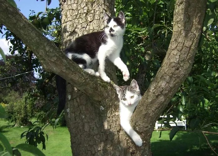 Schmidt Family - Milking House Holiday home